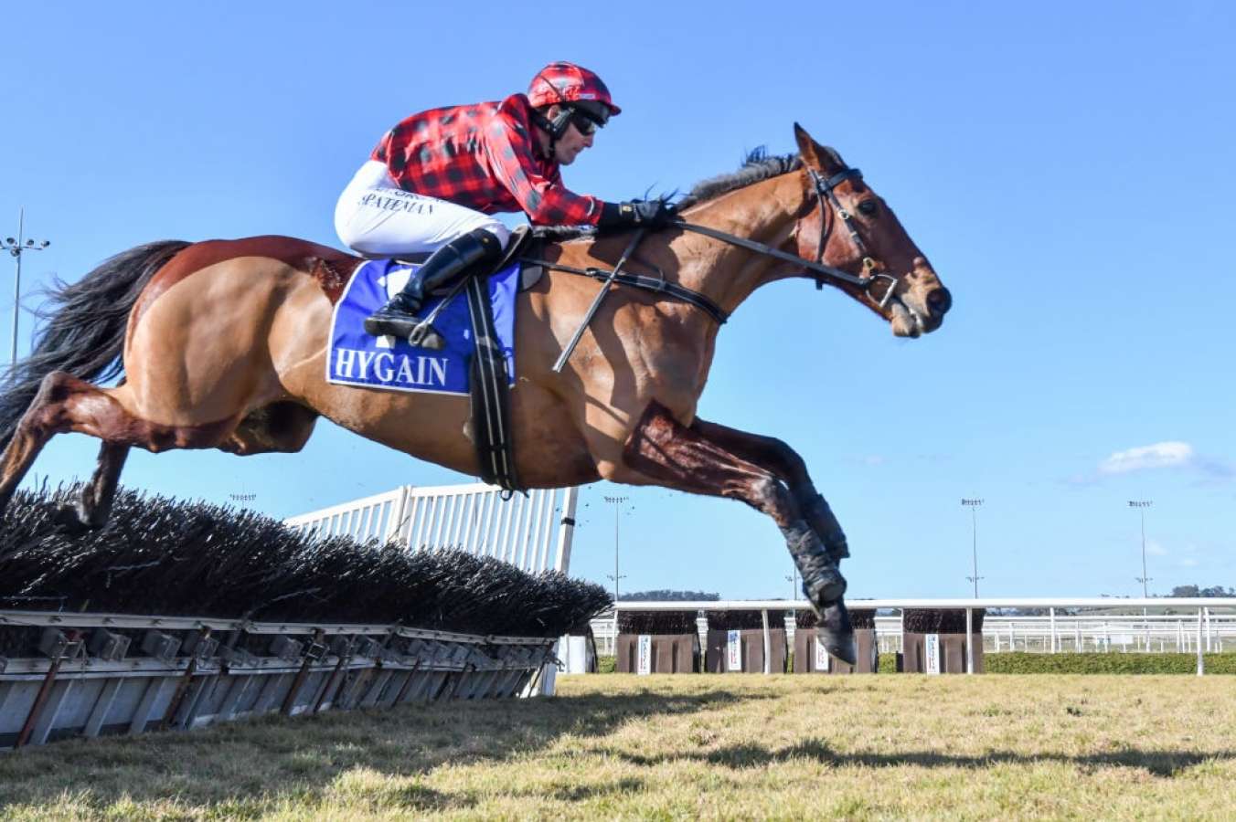 Warrnambool Jumps Day Two Preview May 4th, 2022