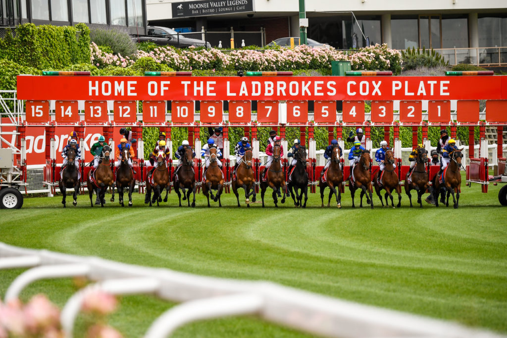 MOONEE VALLEY PREVIEW + BETS 22/10/2022 | COX PLATE DAY