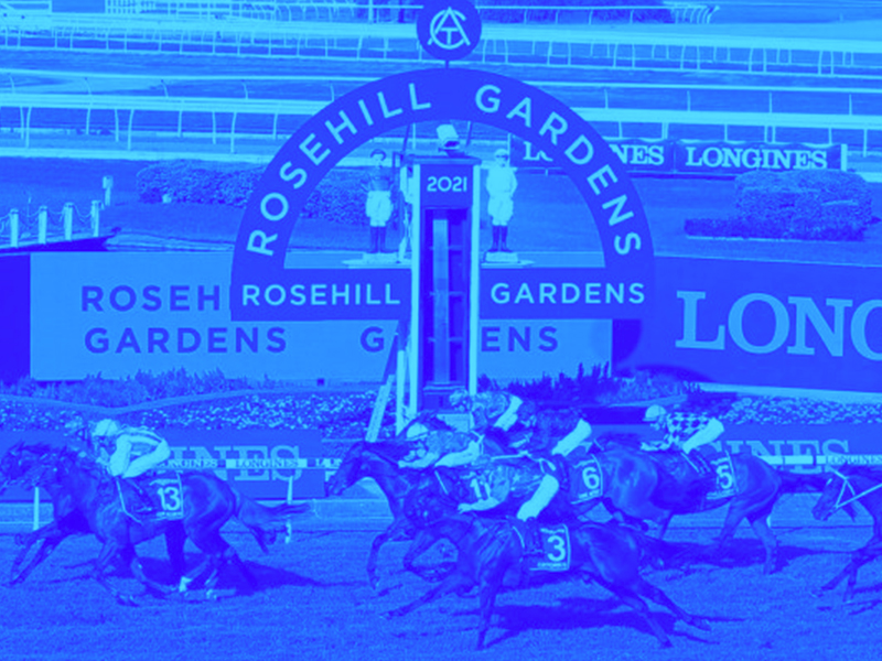 Rosehill Review